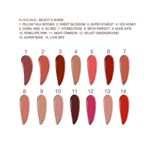 K.I.S.S.I.N.G LIP KIT MAKEUP KIT