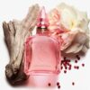 FRAGRANCE COLLECTION OF EMOTIONS PERFUME TRAVEL TRIO SET LIMITED EDITION FRAGRANCE KIT