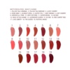 MATTE REVOLUTION LIP KIT MAKEUP KIT